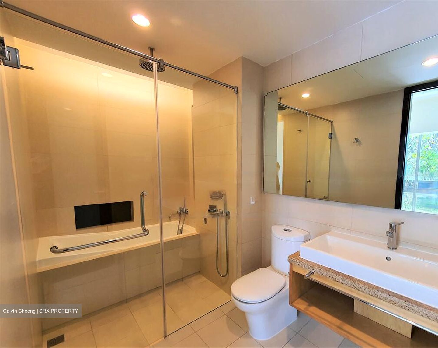 The Cathay Residence (D9), Apartment #464404351